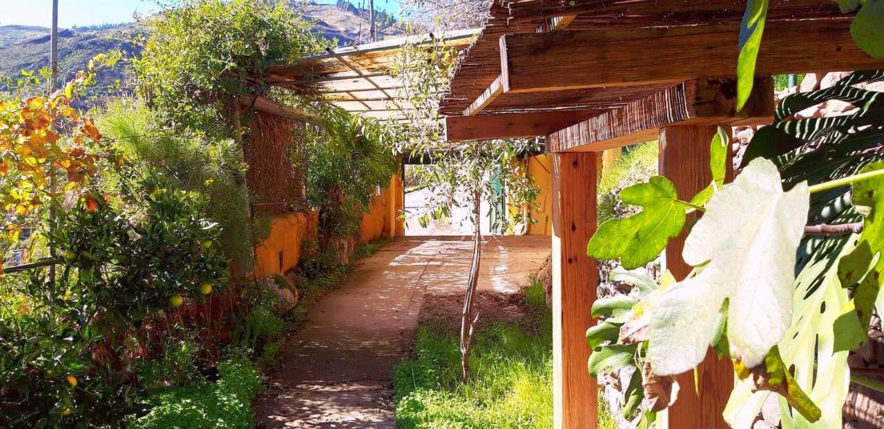 Villa El Manantial Вега де Сан Матео Экстерьер фото